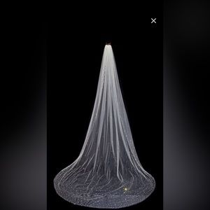 Wedding veil with rhinestones- diamond white - cathedral length
